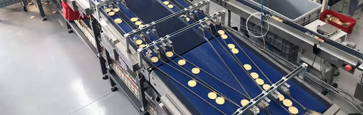 linea per gallette
